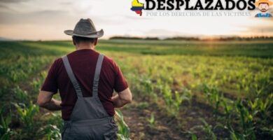 Pagina de los desplazados en Colombia